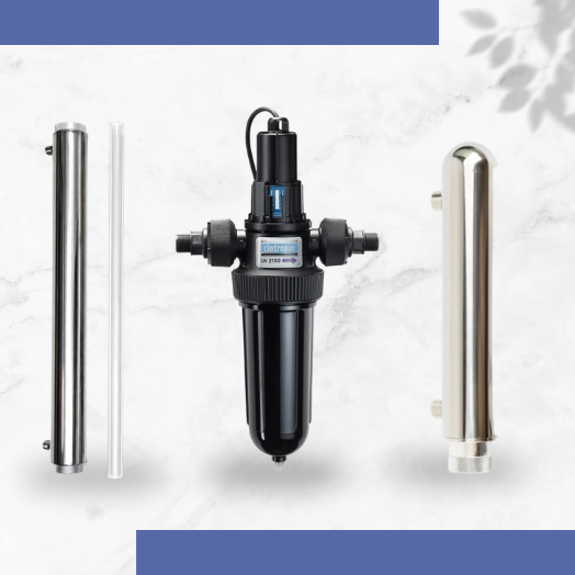 ΑΠΟΛΥΜΑΝΣΗ